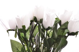 Rosa individual 10 varas BLANCA lisa (4).jpg